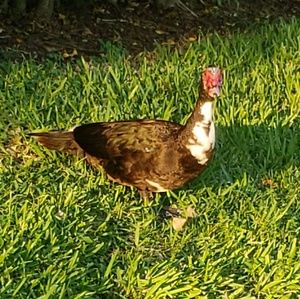 Meet your Posher, Sofia